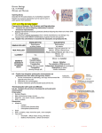 Honors Biology Ch. 8 NOTES Mitosis and Meiosis