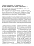 Cellular Sequestration of Cadmium in the Hyperaccumulator Plant Species Sedum alfredii 1[C][W]