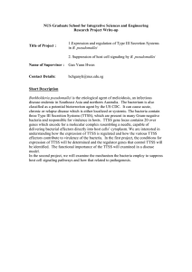 Expression and regulation of Type III Secretion Systems in B. pseudomallei.