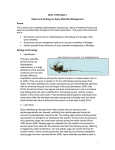 State of Michigan’s Status and Strategy for Spiny Waterflea Management Scope Bythotrephes longimanus