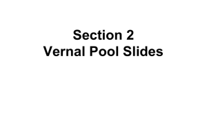 Section 2 Vernal Pool Slides