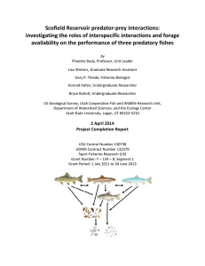 Scofield Reservoir predator-prey interactions: