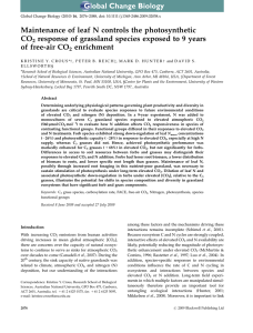 Maintenance of leaf N controls the photosynthetic CO of free-air CO