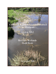 California Rapid Assessment Method for Wetlands version 5.0.2
