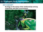 13.1 Ecologists Study Relationships KEY CONCEPT