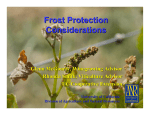 Frost Protection Considerations Glenn McGourty, Winegrowing Advisor Rhonda Smith, Viticulture Advisor