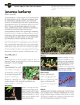 Japanese barberry Invasive Species—Best Control Practices Berberis thunbergii