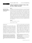 Scaling of respiration to nitrogen in leaves, stems