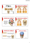 Esqueleto Axial – Cabeça