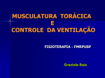 MUSCULATURA TORÁCICA E CONTROLE DA VENTILAÇÃO