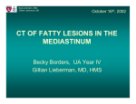 CT Of Fatty Lesions In The Mediastinum