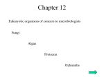 Chapter 12 - Power Point Presentation