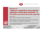 “Spillovers, capital flows and prudential regulation in small open economies” Discussion on by