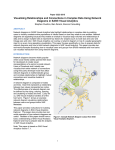 Visualizing Relationships and Connections in Complex Data Using Network Diagrams in SAS® Visual Analytics