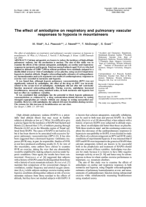 The effect of amlodipine on respiratory and pulmonary vascular