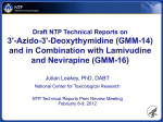 3'-Azido-3'-Deoxythymidine (GMM-14) and in Combination with Lamivudine and Nevirapine (GMM-16)