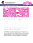 – Cytoplasmic inclusions Liver, Hepatocyte