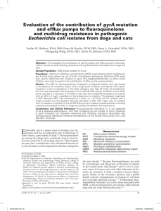 gyrA and efflux pumps to fluoroquinolone and multidrug resistance in pathogenic Escherichia coli