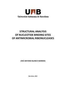   STRUCTURAL ANALYSIS  OF