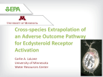 Cross-species Extrapolation of an Adverse Outcome Pathway for Ecdysteroid Receptor Activation