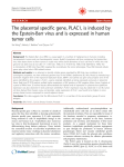 The placental specific gene, PLAC1, is induced by tumor cells