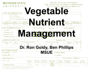 Vegetable Nutrient Management Dr. Ron Goldy, Ben Phillips