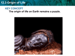 12.3 Origin of Life KEY CONCEPT