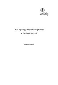 Dual-topology membrane proteins Escherichia coli  Susanna Seppälä