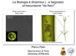 La Biologia è dinamica (...e bagnata): un