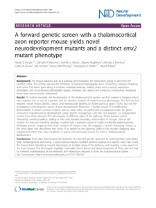 A forward genetic screen with a thalamocortical emx2