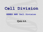 Cell Division Quiz 6A GENES AND Cell Division