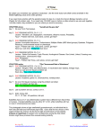 AP Biology Unit 6:  Genetics