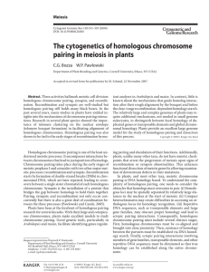 The cytogenetics of homologous chromosome pairing in meiosis in plants Meiosis
