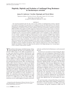 Haploidy, Diploidy and Evolution of Antifungal Drug Resistance Saccharomyces cerevisiae