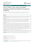 CD133 CXCR4 colon cancer cells exhibit metastatic potential and predict poor prognosis