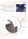 ANTImIcRoBIAL Gli ioni di argento passano la membrana cellulare