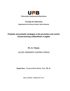 Prebiotic and probiotic strategies in the prevention and control