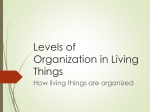 Levels of Organization in Living Things How living things are organized