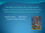 T4 Bacteriophage in Estuarine Water (Joseph Cannon and Nick Thurn, CCU)