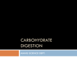 CARBOHYDRATE DIGESTION MMHS SCIENCE DEPT.