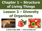 Chapter 1 – Structure of Living Things Lesson 3 – Diversity of Organisms