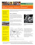 What Causes Johne’s Disease?