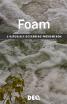 Foam A NATURALLY-OCCURRING PHENOMENON