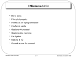 Breve storia, principi di progetto, interfaccia del programmatore e