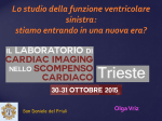 Lo studio della funzione ventricolare sinistra: stiamo entrando in una