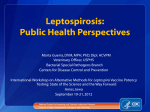 Leptospirosis: Public Health Perspectives