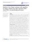 Identity of zinc finger nucleases with specificity novel HSV-2 vaccine/therapy precursors