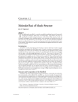 T Molecular Basis of Muscle Structure C 12