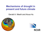 Mechanisms of drought in present and future climate