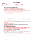 Chapter 3 Test Review Key Vocabulary: Set 1: Set 2: